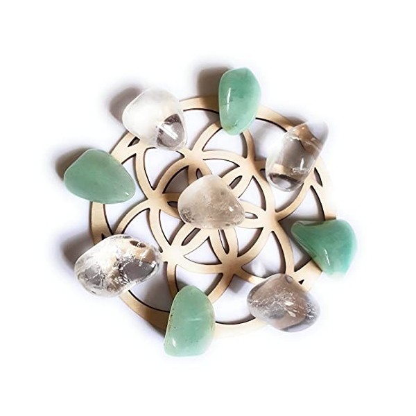 Abundance Crystal Grid Seed of Life Mini ensemble – Aventurine verte, cristaux de quartz transparent, pierres polies, chargée