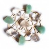 Abundance Crystal Grid Seed of Life Mini ensemble – Aventurine verte, cristaux de quartz transparent, pierres polies, chargée