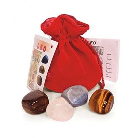 Ensemble de pierres polies Leo Crystals – Agate bleue, bois pétrifié, œil de tigre, quartz de roche transparent – Chargé Reik