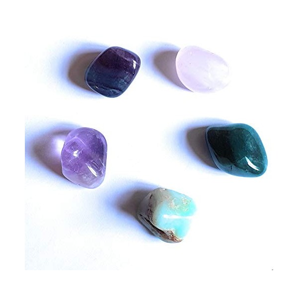 Wild Therapies Lot de 5 pierres polies dénergie positive et de bonheur – améthyste, quartz rose, fluorite, chrysoprase, aven