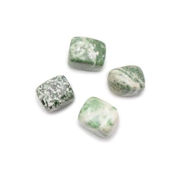 Agate Arbre Pierre Roulée Cubique de 2 à 3 cm, 1 Unité