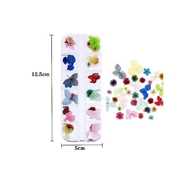 SSyang 12 Pcs Art fournitures Bricolage Nail, Séchée Nail Applique Nail, Nail Art Véritable Fleur, Convient pour le Bricolage