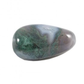 Agate Mousse - Pierre Roulée - 2 à 3 cm - Pierres Naturelles Polies - Lithothérapie - 1 Unité