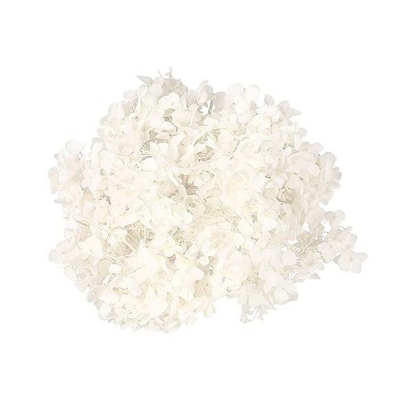 HOMSFOU 1 Pack Soie Hortensia Pétales De Fleurs Séchées Hortensia Pétales Décoration Fleurs DHortensia Séchées DIY Pétale Fl