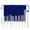 Ensemble doutils de thérapie de guérison sonore à diapason - 9 pièces 174/285/396/417/528/639/741/852/963 HZ, adapté aux tes