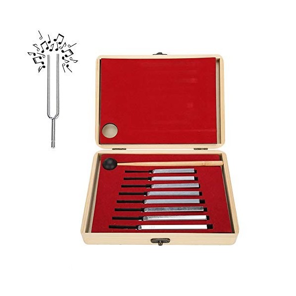 Ensemble de Diapasons, 8pcs Kit de Diapason en Acier Thérapie de Vibration de Réglage, Diapasons Standard avec Maillet en Boi