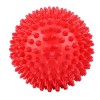 Balle de Massage Manuelle - Rouleau de Massage Corporel en Plastique Durable - Massage Des Boules Hérissées - Pour Forme Phys