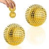 AISEELY Balles de Massage, 2 Pcs Boule de Massage, Massage et Relaxation Dos, Nuque, Jambs, Pied etc, Fournit un Soulagement 