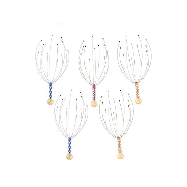 ROSENICE Massager du cuir chevelu 5pcs Hand Held Therapeutic Head Scratcher Steel Wire Head Massager avec poignée en bois pou