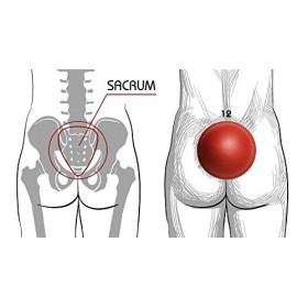 Pelvic Clock® Instrument pour le soulagement des douleurs lombaires chroniques.