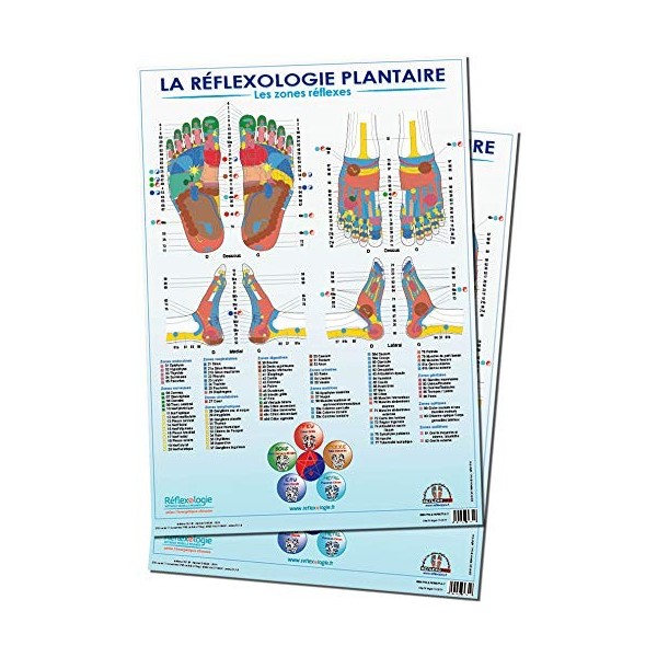 2 posters A1 REFLEXOLOGIE PLANTAIRE de Mireille Meunier, Les Zones Réflexes