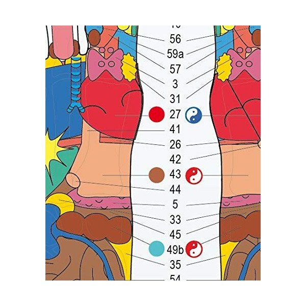 2 posters A1 REFLEXOLOGIE PLANTAIRE de Mireille Meunier, Les Zones Réflexes