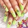 10500 Pièces Fruits Nail Art Tranches, 3D Fruit Ongles Tranches avec 1 Pièce Pince à Épiler, Tranches Dongle Décoration de B