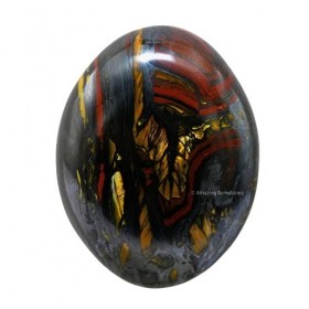 Pierre de palmier en cristal naturel Tiger Iron 