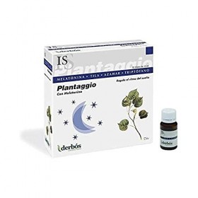 DPLANTAGGIO ROUTE EST SON 20