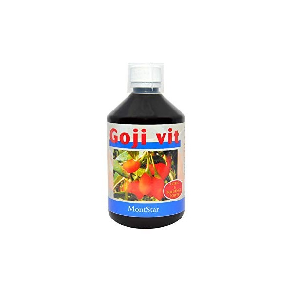 GOJI VIT SIROP 500 ML