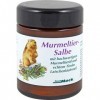 Pommade de marmotte, 100 ml