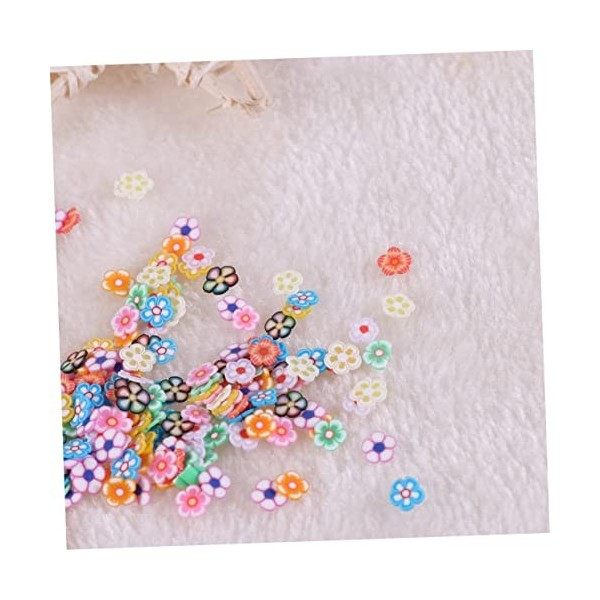 COHEALI 300 Pièces Décorations pour Les Ongles pour Nail Art Fruits Décor Appliques Embellissements Tranche Nail Décoration T