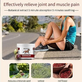 LSNTUU Pain Relief Horse Chestnut Gel-German Horse Cream,German Rheumatic Joint Pain Relief Cold Gel,Horse Chestnut Care Crea