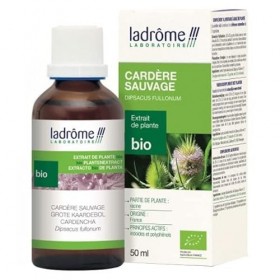 Ladrôme Extrait de Plante Bio Cardère Sauvage 50 ml