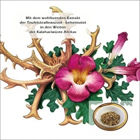 CristinenMoor │ Baume à la griffe du diable, 500 ml, a base de racine de griffe du diable dAfrique du Sud et dhuile dolive