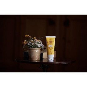 Crème forte pour les muscles, les articles et les ligaments avec arnica | avec extrait sec darnica, le plus concentré | 100 