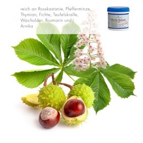 CristinenMoor® Premium Pferdebalsam - creme de massage - 200ml - avec griffe du diable - Arnica - Harpagophytum - en cas de c