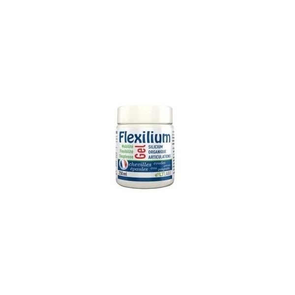 Flexilium Gel en pot 250 ml LT Laboratoires