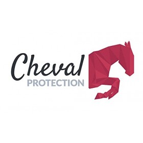 Vet CRYO Intense Gel à Effet Froid pour Chevaux. Baume Naturelle pour les Douleurs Musculaires & Articulaires. Crème de Massa