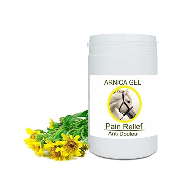 Gel concentré dArnica FORTE 90% dextrait dArnica issu de lagriculture Biologique. Gel de Massage pour les Muscles et les 