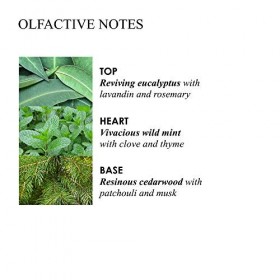 Molton Brown Infusing Gommage stimulant pour le corps à leucalyptus 275 g