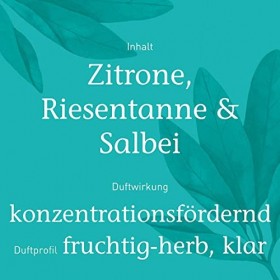 Primavera Konzentration Duftmischung 5 ml