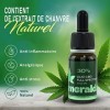 SMERALDA Huile de Chanvre authentique 30% - Fabriquée en Italie à partir de lagriculture biologique - 10 ml 3000 mg - Huile 