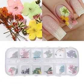 nail art fleur séchée nail art feuille de fleur naturelle nail art autocollant de fleur naturelle pour une utilisation pratiq