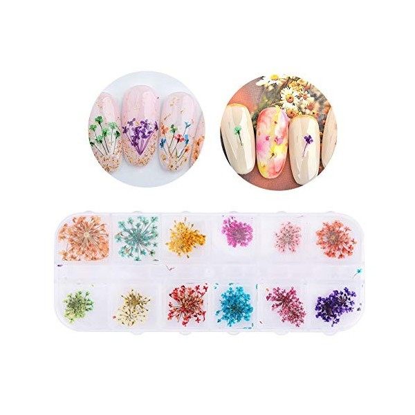 Naturel Nail Séché Fleur Acrylique UV Gel Séché Fleurs Autocollant Nail Art Conseils Conception DIY Décor Nail Art Accessoire