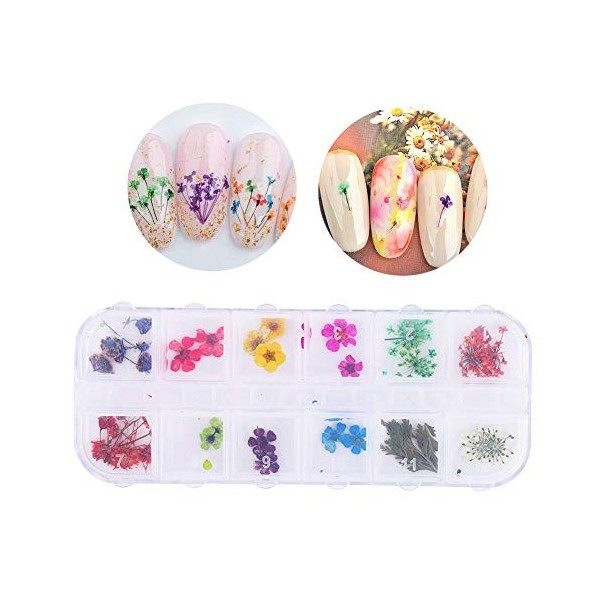 Naturel Nail Séché Fleur Acrylique UV Gel Séché Fleurs Autocollant Nail Art Conseils Conception DIY Décor Nail Art Accessoire