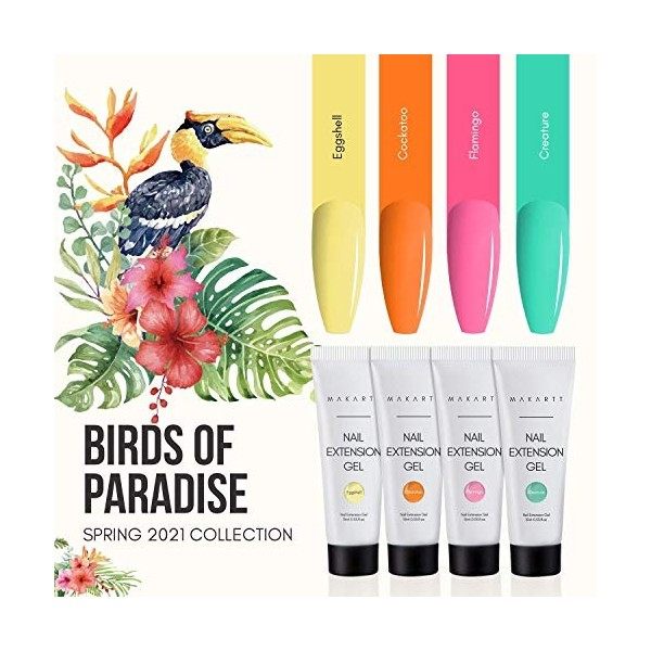 Makart Poly Nail Gel Oiseaux de Paradis Kit de gel dextension dongles en Poly Gel damélioration des Ongles 4 Couleurs de G