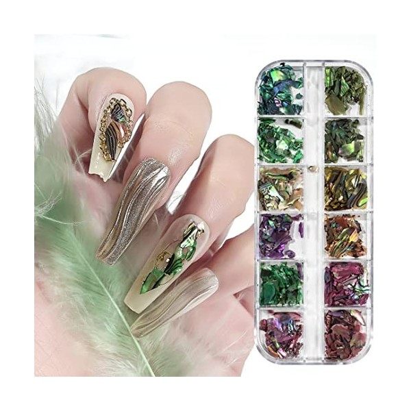 Zayookey 2 Boîtes Charmes dArt dOngle Tranches de Coquillages Irréguliers 3D Nail Art Shell Piece Paillettes pour Fournitur