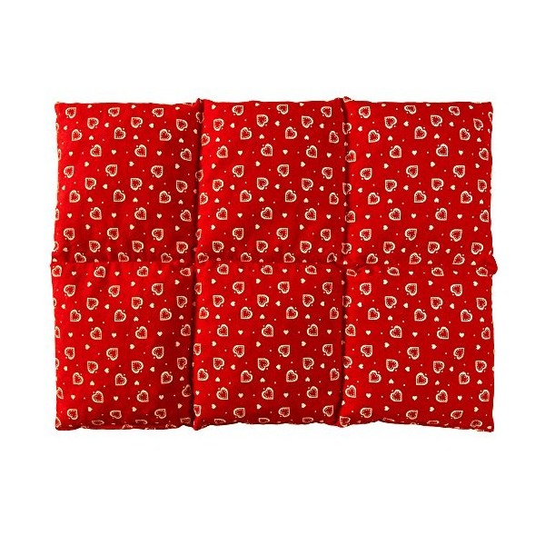 Coussin aux graines de lin 40x30 - Compresse chaud ou froid - Grande bouillotte sèche - Coussin thermique 6 compartiments. D