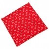 Coussin garni de noyaux - 24 x 24 cm - Cœur rouge - Coussin chauffant et compresse froide