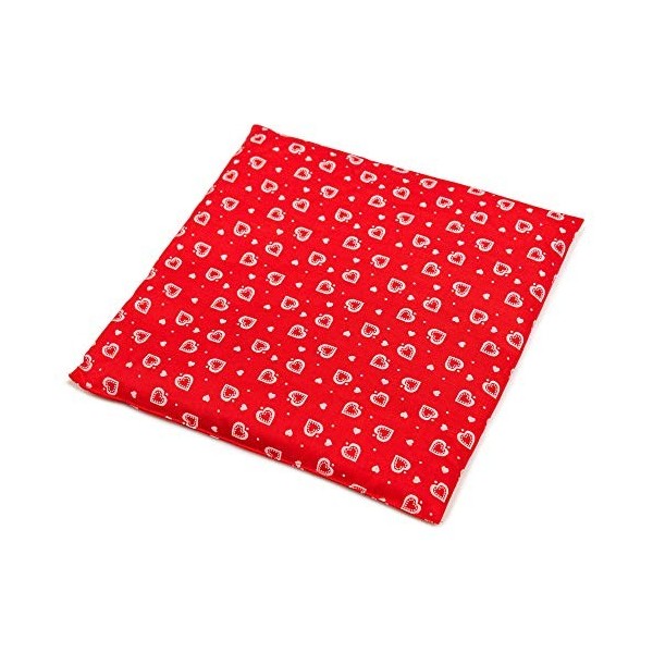 Coussin garni de noyaux - 24 x 24 cm - Cœur rouge - Coussin chauffant et compresse froide