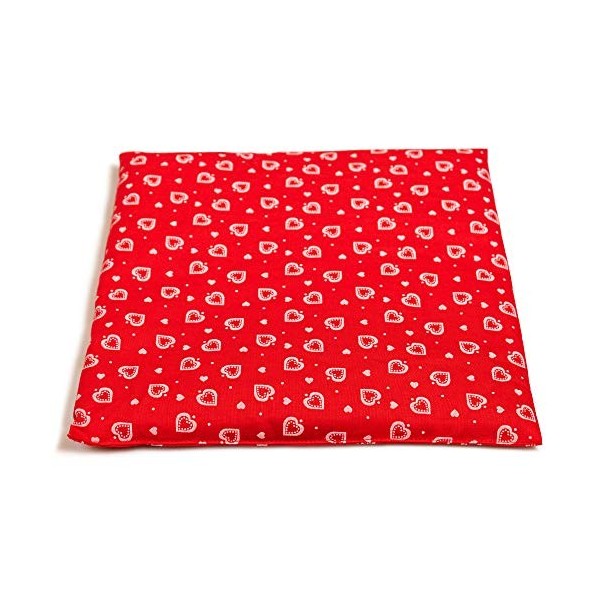 Coussin en graines de lin - 24 x 24 cm - Cœurs rouges - Coussin chauffant et froid