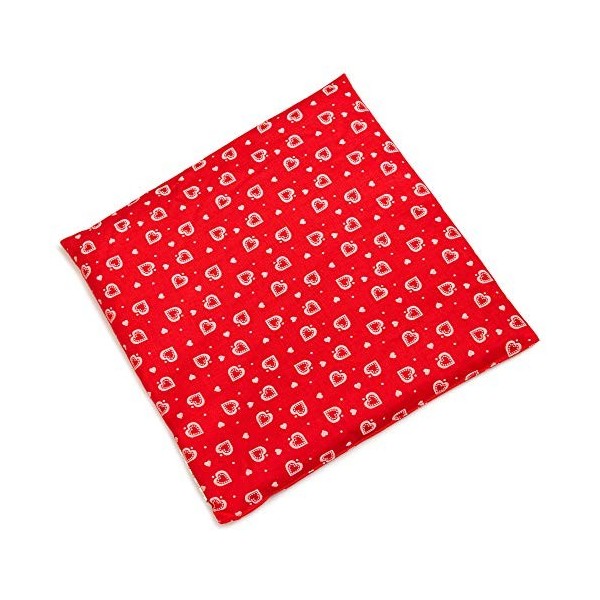 Coussin de colza - 24 x 24 cm - Cœurs rouges - Coussin chauffant - Compresse rafraîchissante - Coussin à grains