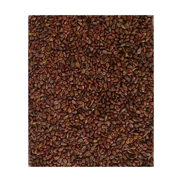 Pépins de raisin - 2 kg - Pour coussin chauffant - Coussin froid - Coussin de grains - Coussin de garnissage - Sac de pépins 