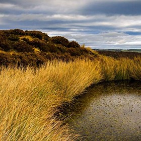 Kerafactum - Coussin chauffant pour la nuque et les épaules - Pour micro-ondes - 100&nbsp;% tourbe naturelle - Réutilisable - Boui