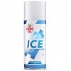 AIESI® Froid Spray instantané avec MENTHOL bombe de 400 ml ICE SPRAY, Made in Italy