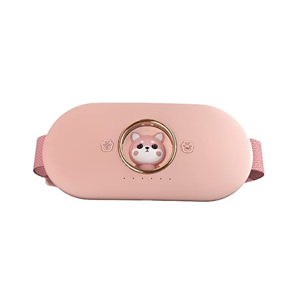 Coussin chauffant portable pour femme et fille, 3 niveaux de température, chauffage instantané USB Shiba Inu 