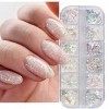 12 Couleurs Paillettes Ongles Flocons Holographic Nail Art Décoration Design Manucure