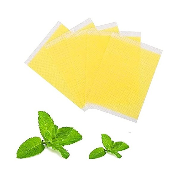 Lot de 30 patchs Fujimint à base de plantes naturelles pour abdomen, taille japonaise, autocollants pour resserrer le ventre,