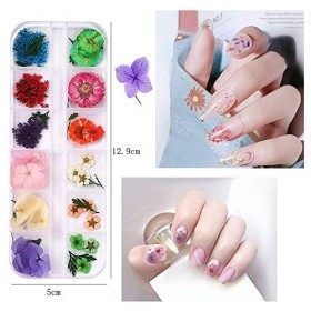 Kalolary ongles fleurs séchées, paillettes de paillettes dongle papillon, Paillettes à ongles en aluminium, Ensemble de déco